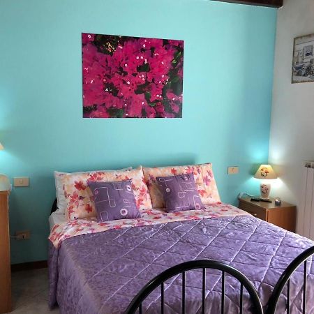 Oasi Di Paradiso - Comfy Private Apartment On Ground Floor With Terrace Desenzano del Garda Exterior photo